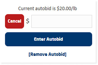 How can I edit or cancel an existing auto bid?