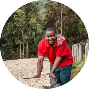 1604 A1 Honey Coffee